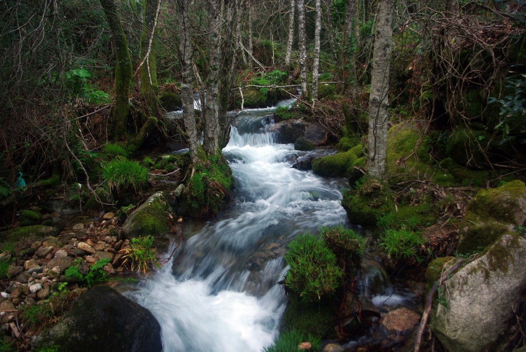 Foto: Rio Tripes - Tui (Pontevedra), España