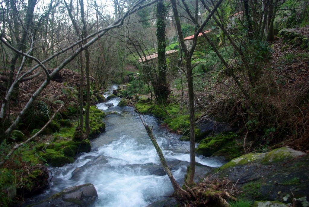 Foto: Rio Tripes - Tui (Pontevedra), España