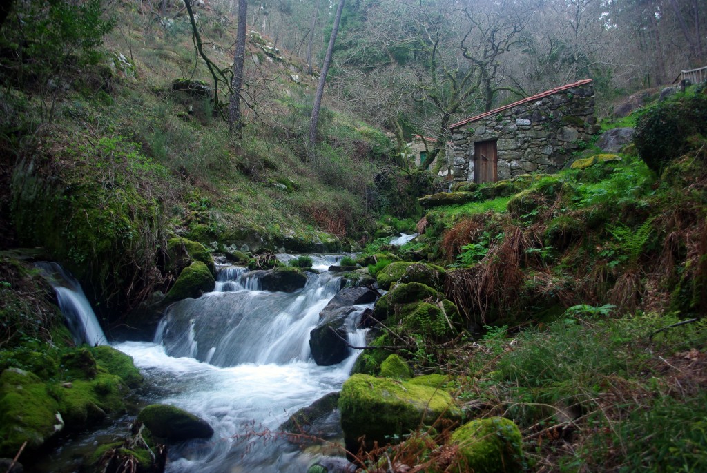 Foto: Rio Tripes - Tui (Pontevedra), España