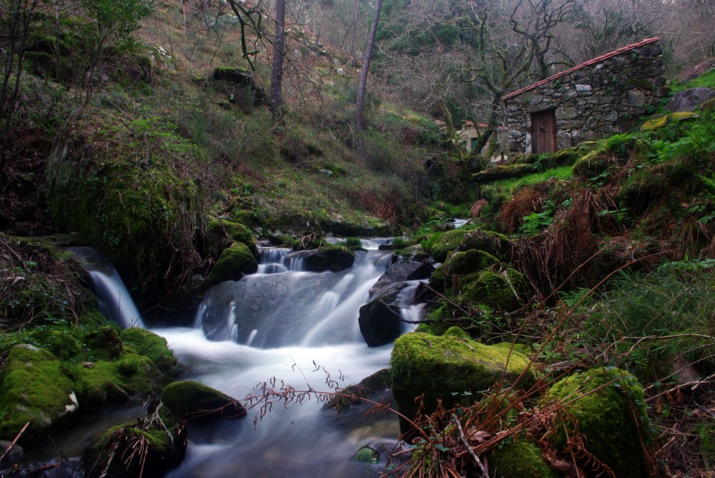Foto: Rio Tripes - Tui (Pontevedra), España