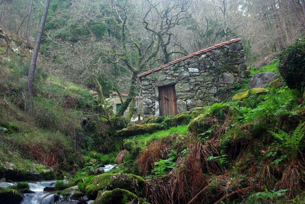 Foto: Rio Tripes - Tui (Pontevedra), España