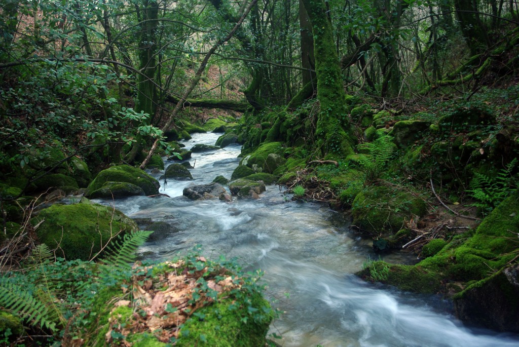 Foto: Rio Tripes - Tui (Pontevedra), España