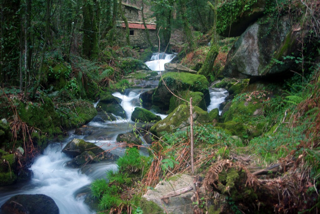 Foto: Rio Tripes - Tui (Pontevedra), España
