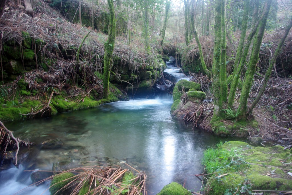 Foto: Rio Tripes - Tui (Pontevedra), España
