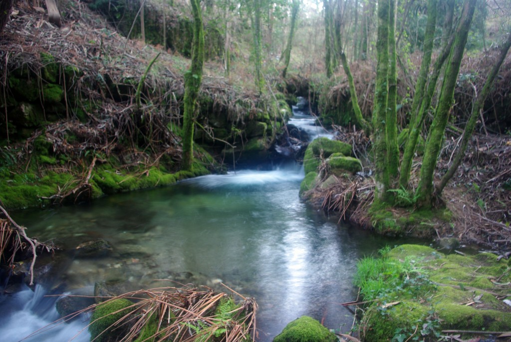 Foto: Rio Tripes - Tui (Pontevedra), España