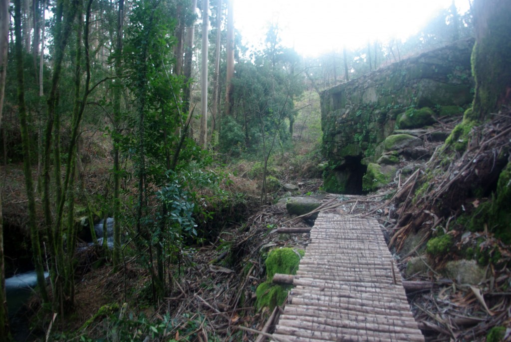 Foto de Tui (Pontevedra), España