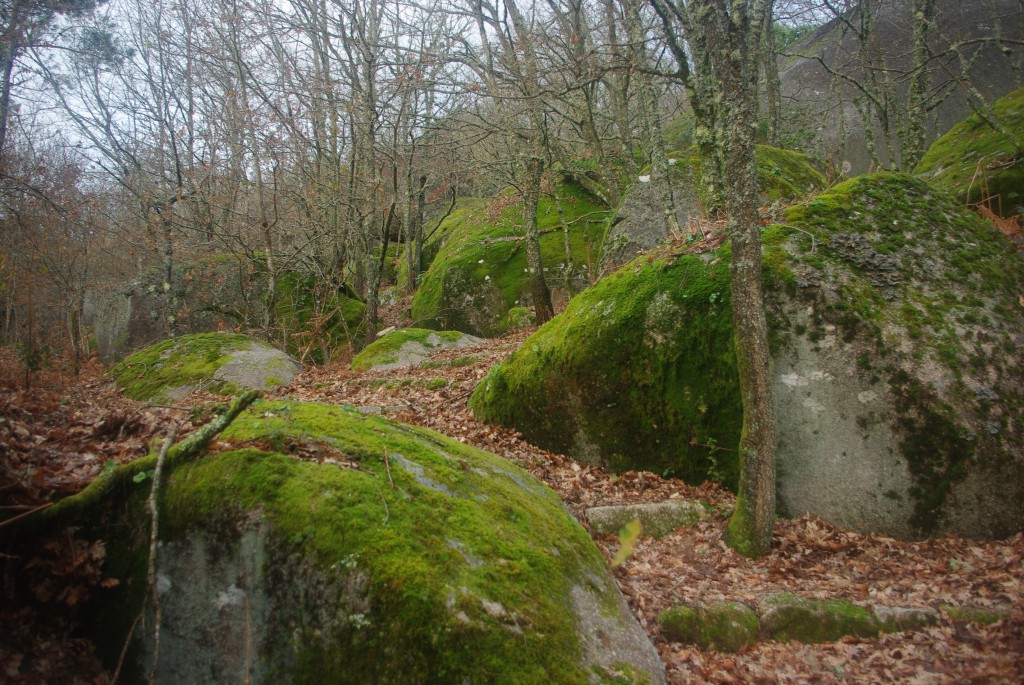 Foto: Pena Corneira - Leiro (Ourense), España