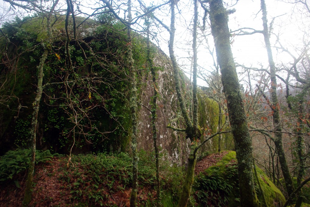 Foto: Pena Corneira - Leiro (Ourense), España
