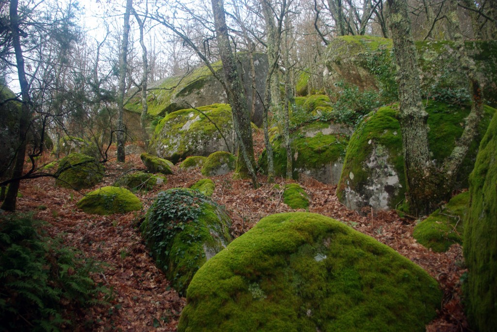 Foto: Pena Corneira - Leiro (Ourense), España