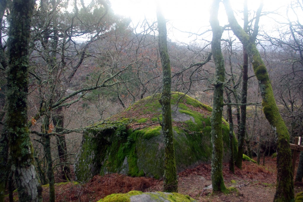 Foto: Pena Corneira - Leiro (Ourense), España