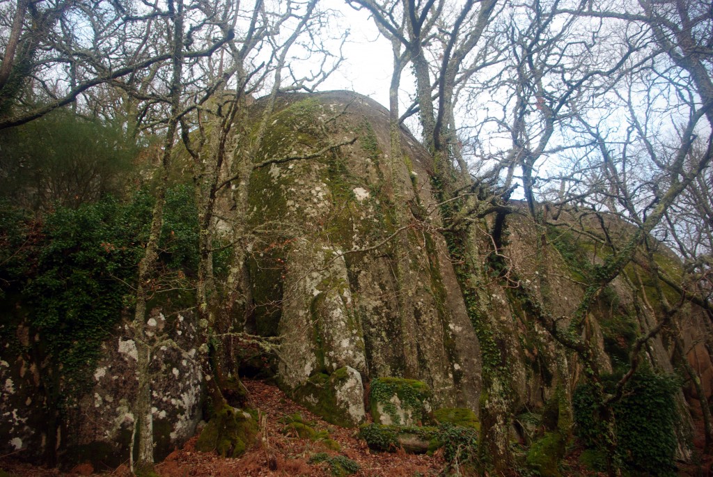 Foto: Pena Corneira - Leiro (Ourense), España