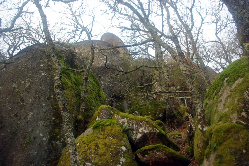 Foto: Pena Corneira - Leiro (Ourense), España