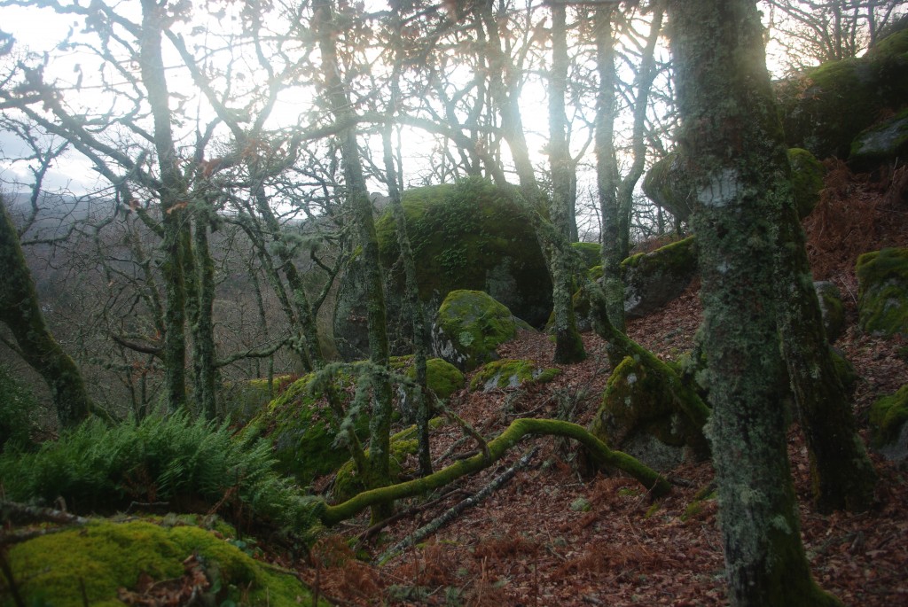 Foto: Pena Corneira - Leiro (Ourense), España