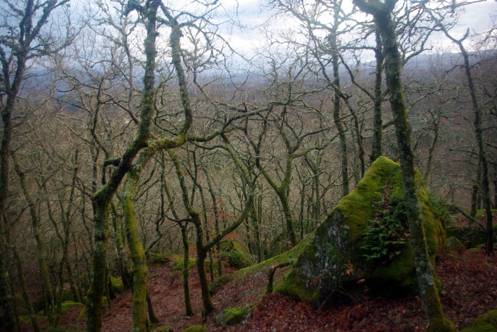 Foto: Pena Corneira - Leiro (Ourense), España