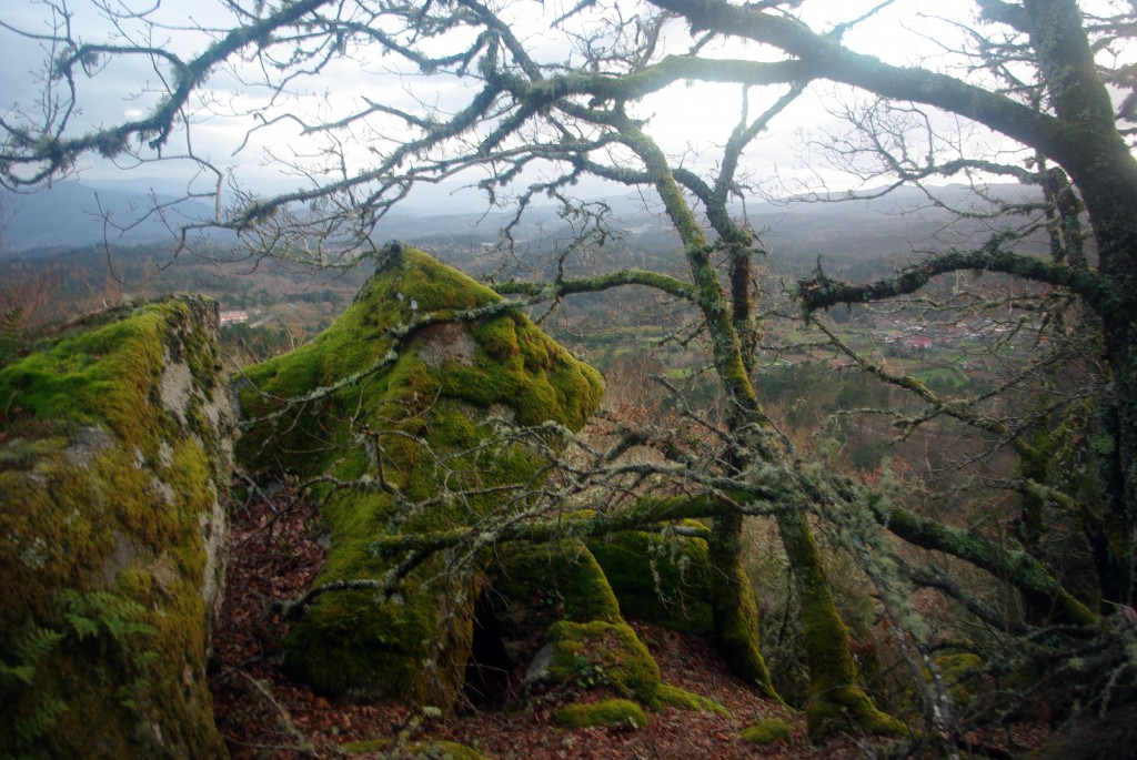 Foto: Pena Corneira - Leiro (Ourense), España