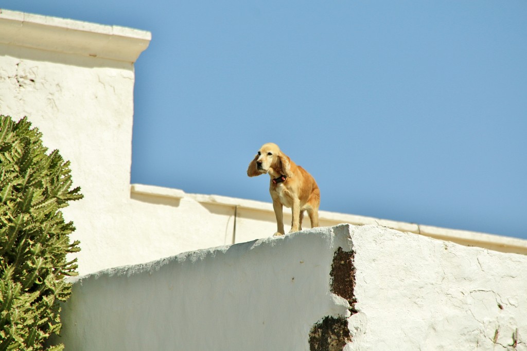 Foto: Centro histórico - Teguise (Lanzarote) (Las Palmas), España