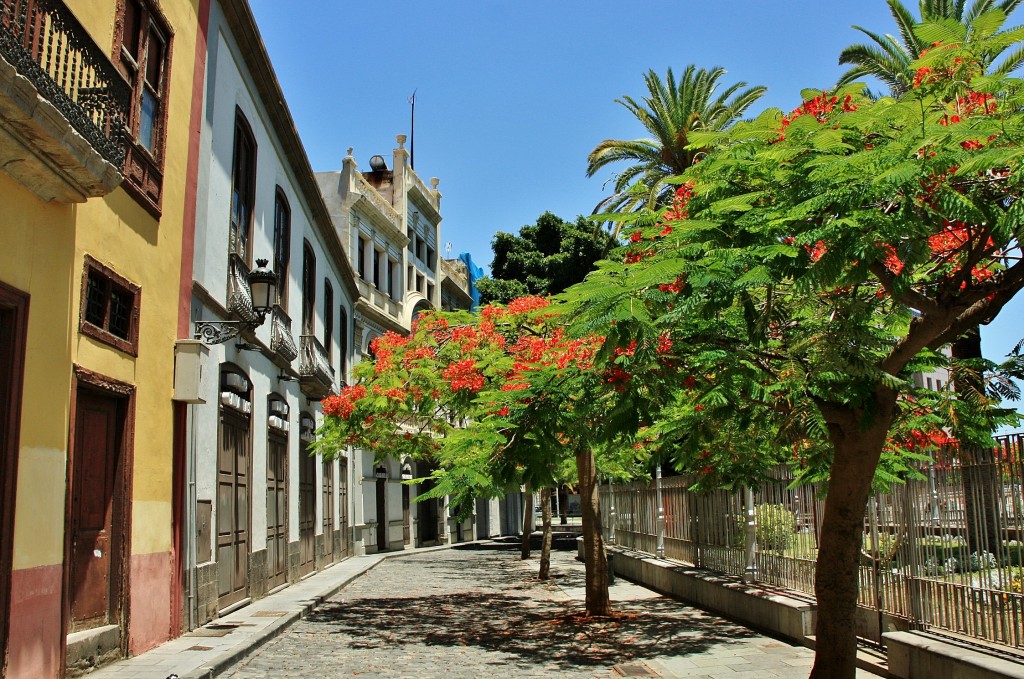 Foto: Centro histórico - Santa Cruz de Tenerife (Canarias), España