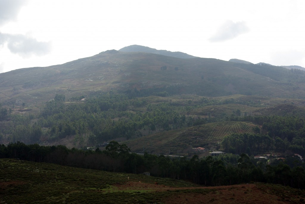 Foto de Fornelos de Montes (Pontevedra), España