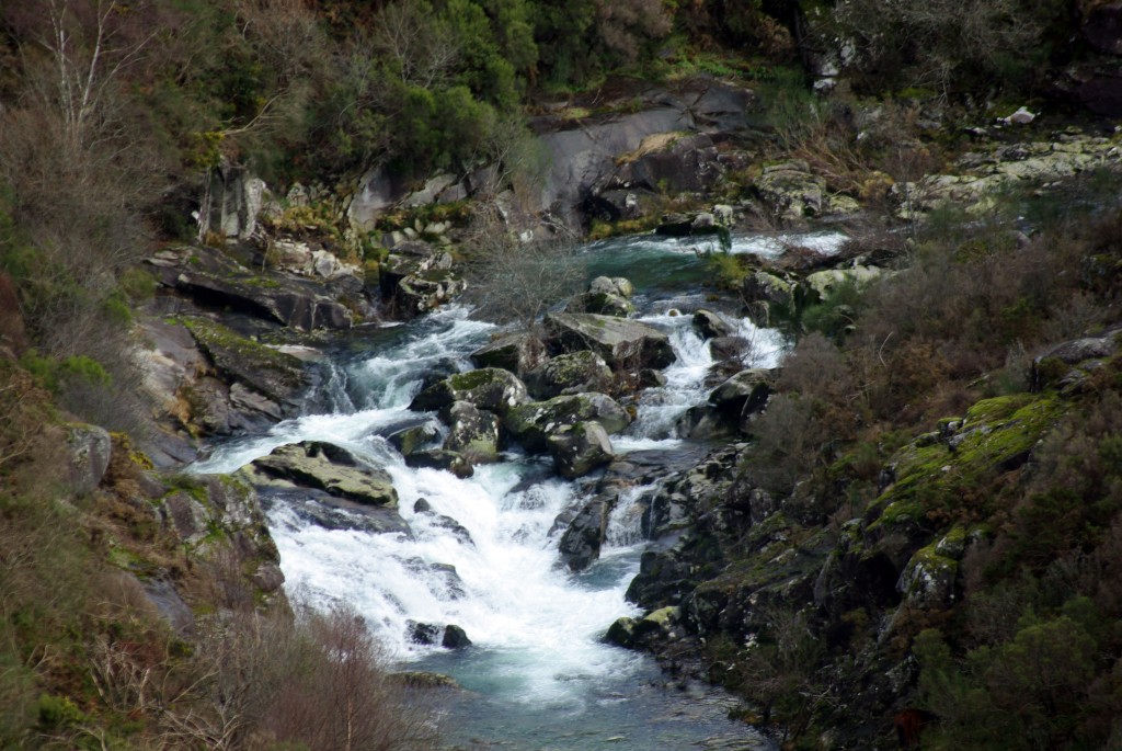 Foto de Fornelos de Montes (Pontevedra), España