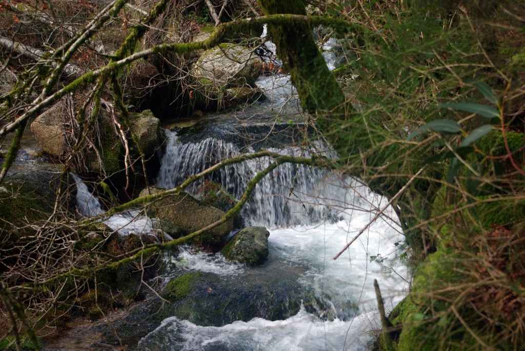 Foto: Serra do Suido - Fornelos de Montes (Pontevedra), España