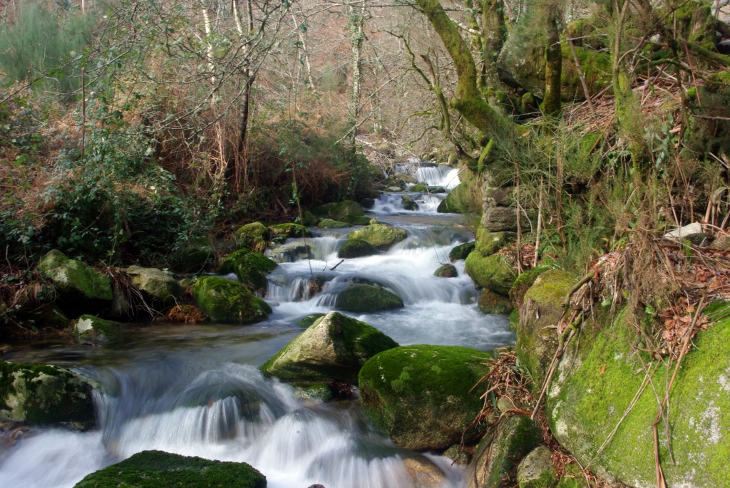 Foto: Serra do Suido - Fornelos de Montes (Pontevedra), España