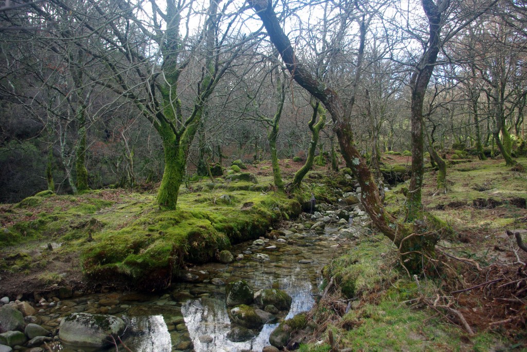 Foto: Serra do Suido - Fornelos de Montes (Pontevedra), España