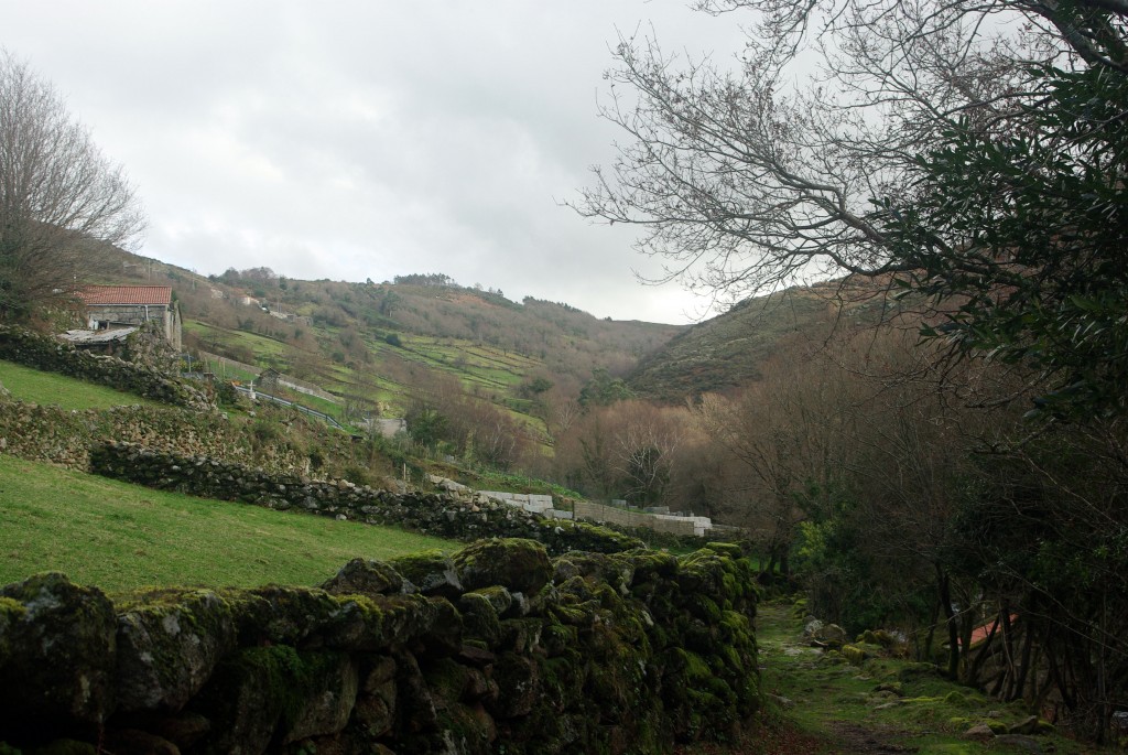 Foto: Serra do Suido - Fornelos de Montes (Pontevedra), España