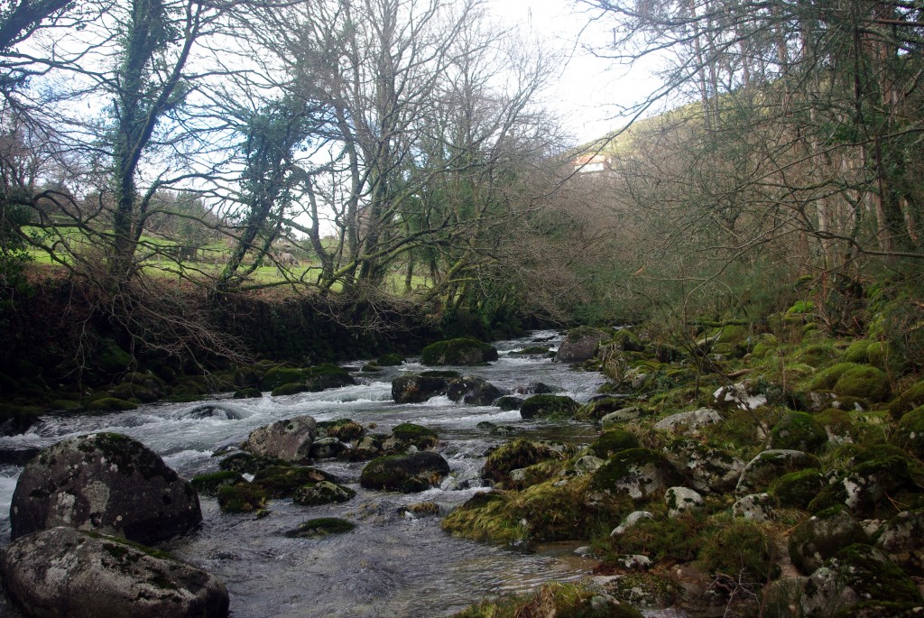 Foto: Serra do Suido - Fornelos de Montes (Pontevedra), España