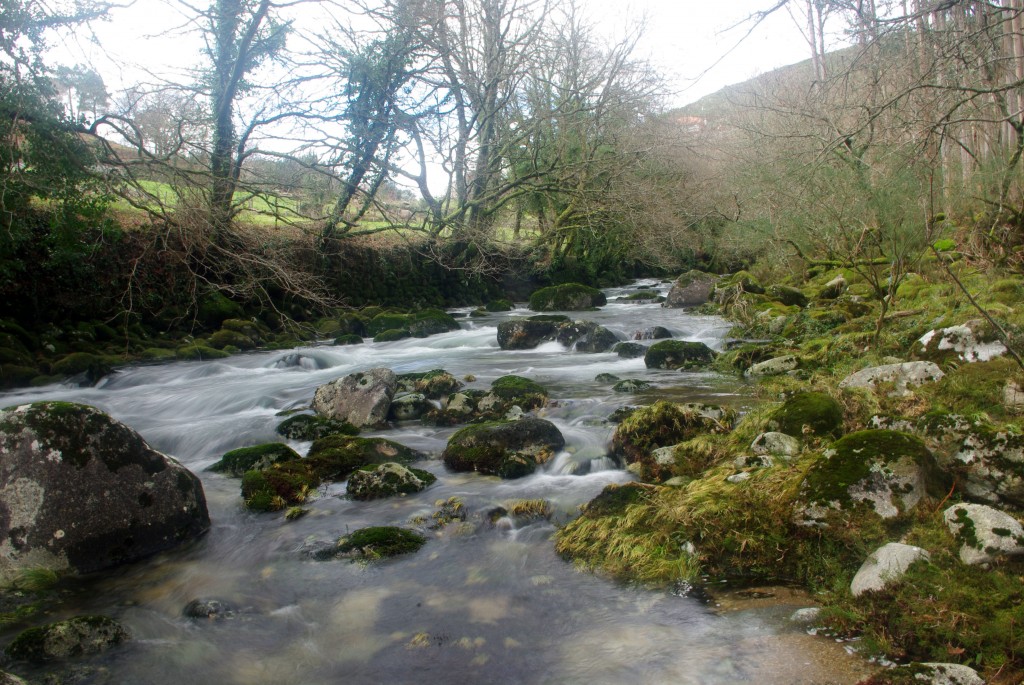 Foto: Serra do Suido - Fornelos de Montes (Pontevedra), España