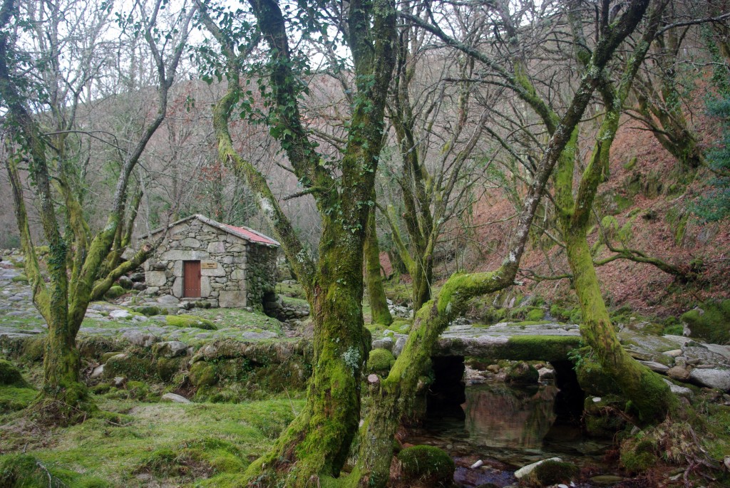 Foto: Serra do Suido - Fornelos de Montes (Pontevedra), España