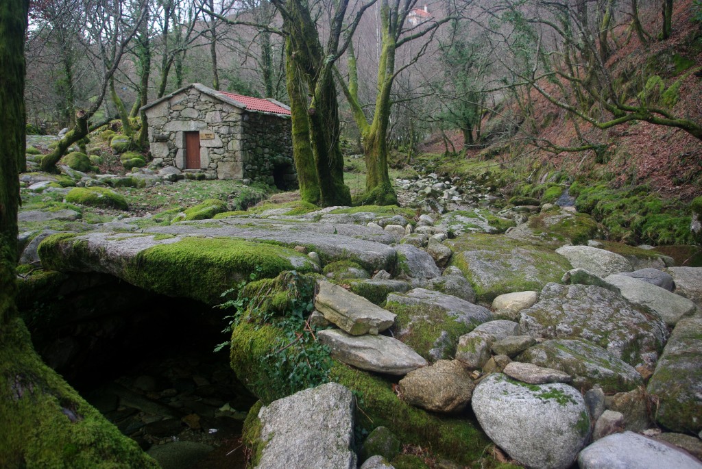 Foto: Serra do Suido - Fornelos de Montes (Pontevedra), España