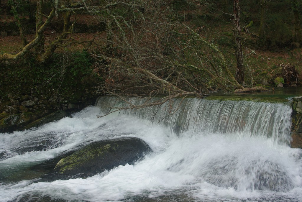 Foto: Serra do Suido - Fornelos de Montes (Pontevedra), España