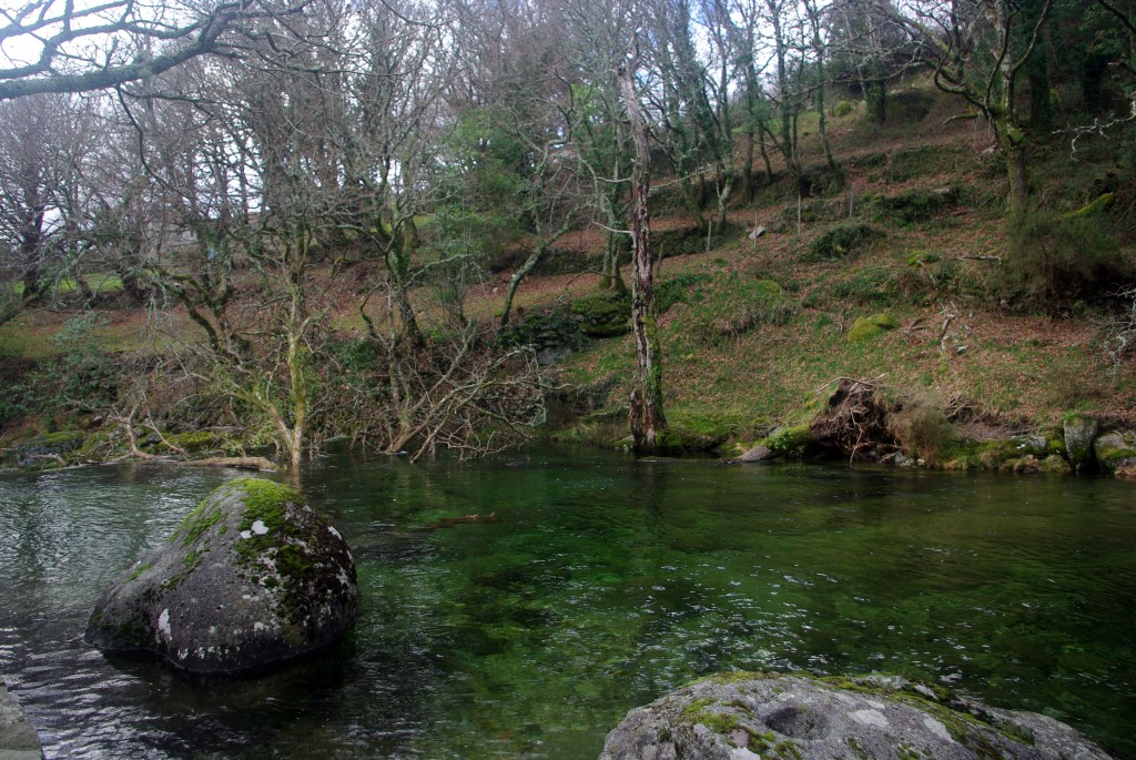 Foto: Serra do Suido - Fornelos de Montes (Pontevedra), España