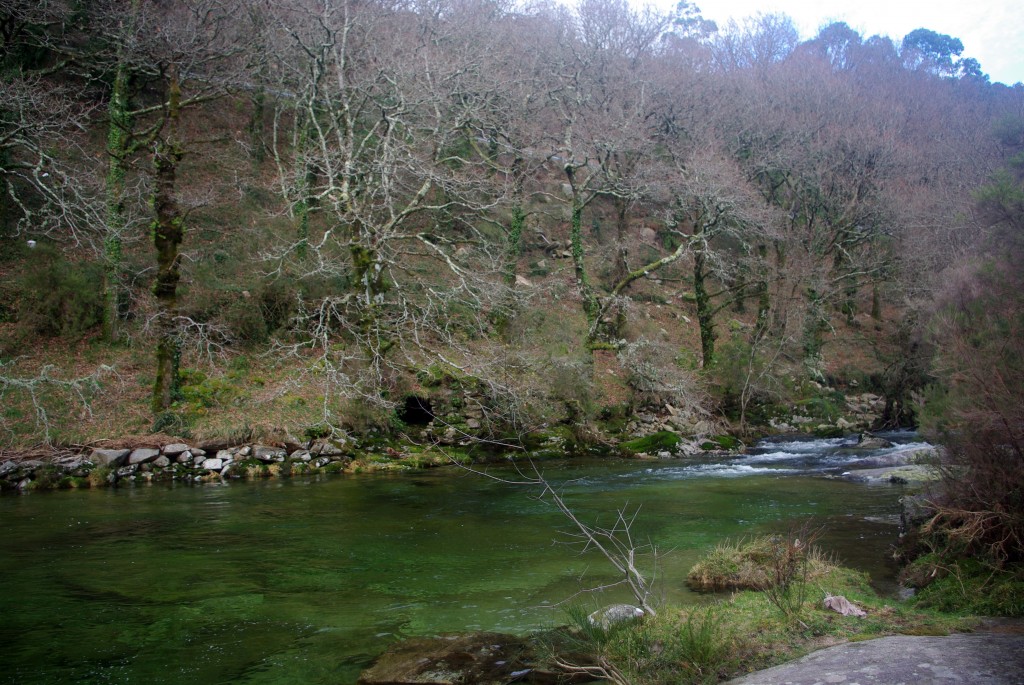 Foto: Serra do Suido - Fornelos de Montes (Pontevedra), España