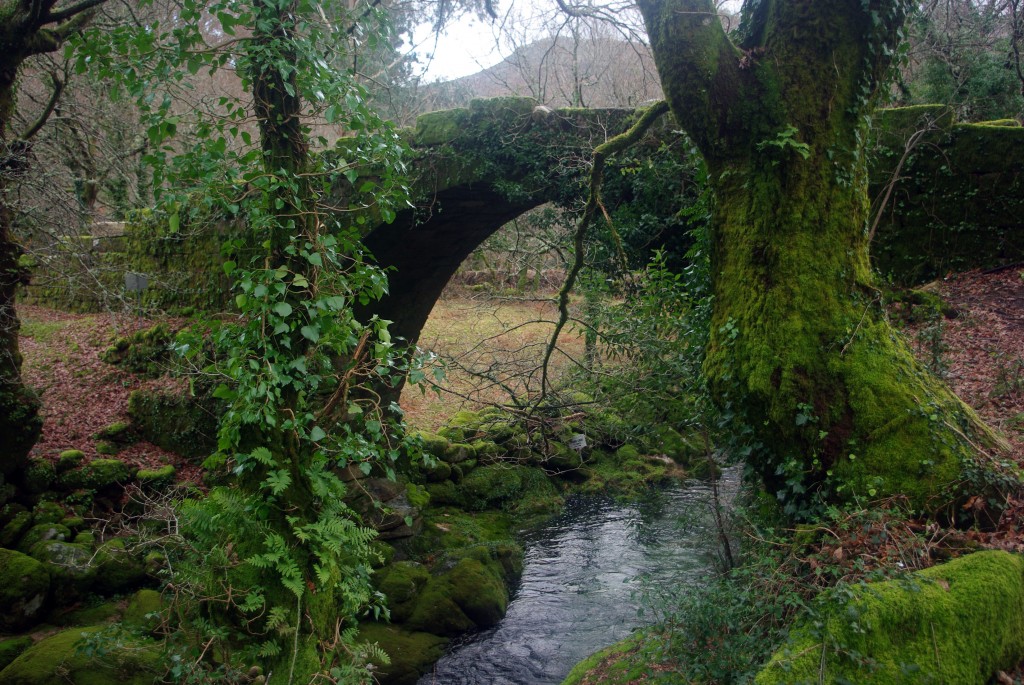 Foto: Serra do Suido - Fornelos de Montes (Pontevedra), España