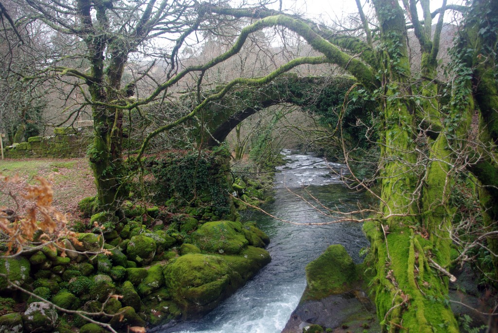 Foto: Serra do Suido - Fornelos de Montes (Pontevedra), España