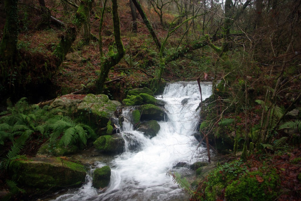 Foto: Serra do Suido - Covelo (Pontevedra), España