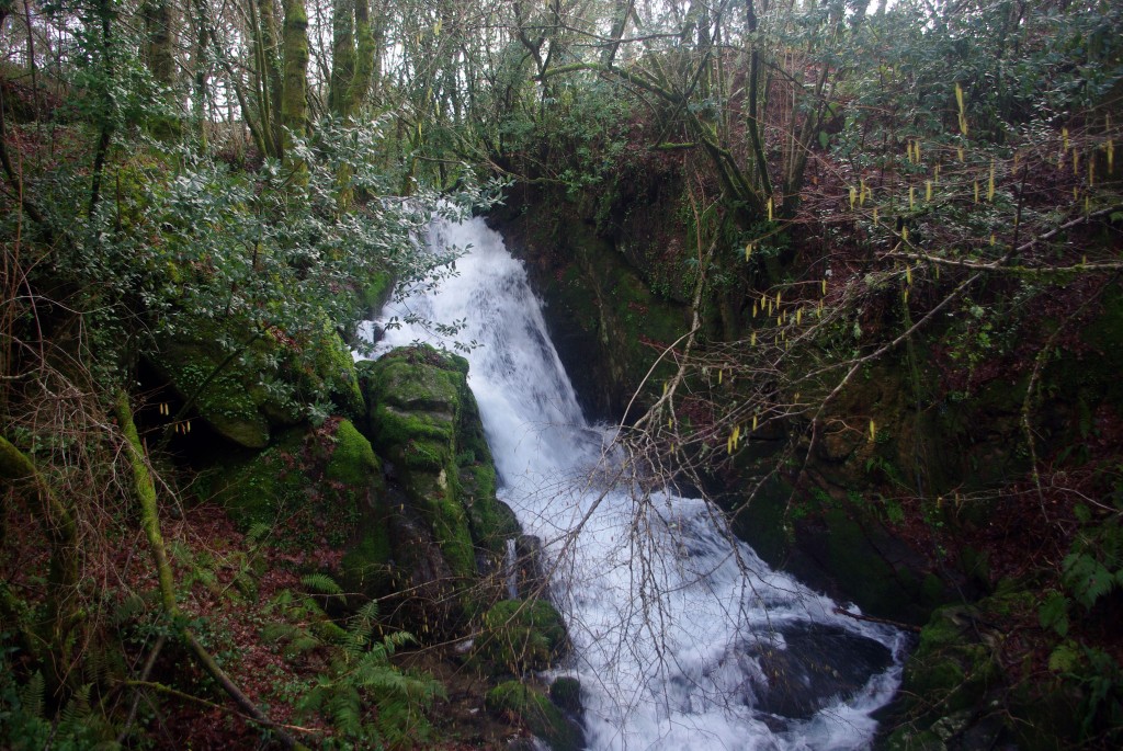 Foto: Serra do Suido - Covelo (Pontevedra), España