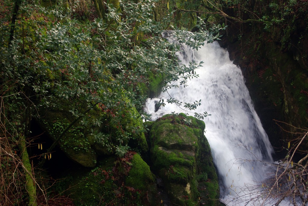 Foto: Serra do Suido - Covelo (Pontevedra), España
