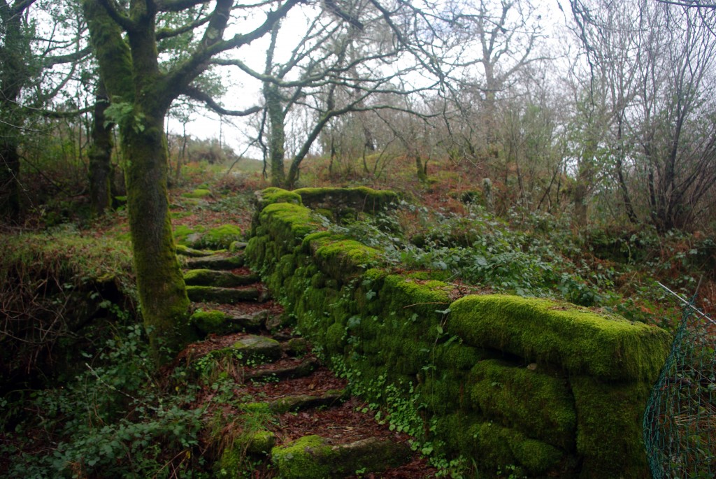 Foto: Serra do Suido - Covelo (Pontevedra), España
