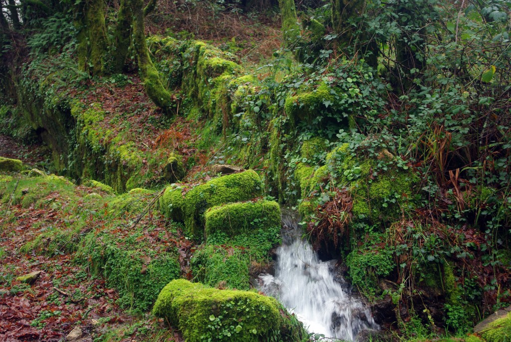 Foto: Serra do Suido - Covelo (Pontevedra), España