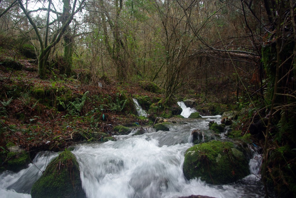 Foto: Serra do Suido - Covelo (Pontevedra), España