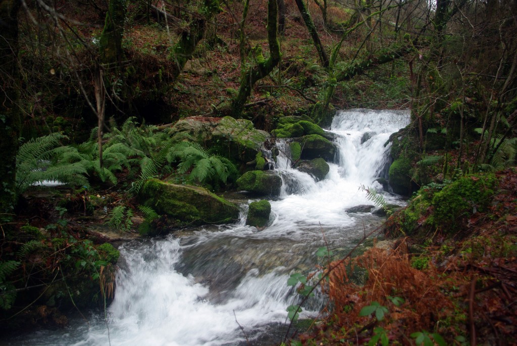 Foto: Serra do Suido - Covelo (Pontevedra), España