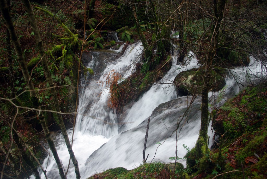 Foto: Serra do Suido - Covelo (Pontevedra), España