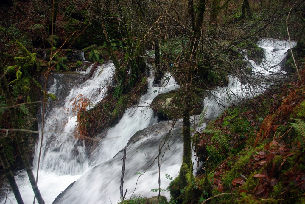 Foto: Serra do Suido - Covelo (Pontevedra), España