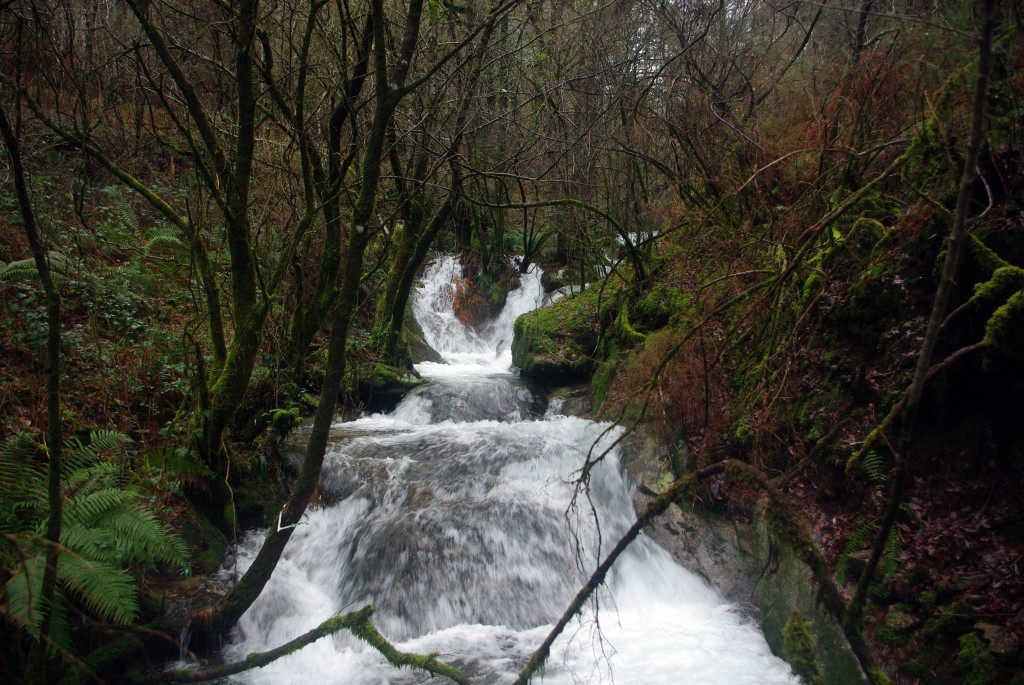 Foto: Serra do Suido - Covelo (Pontevedra), España