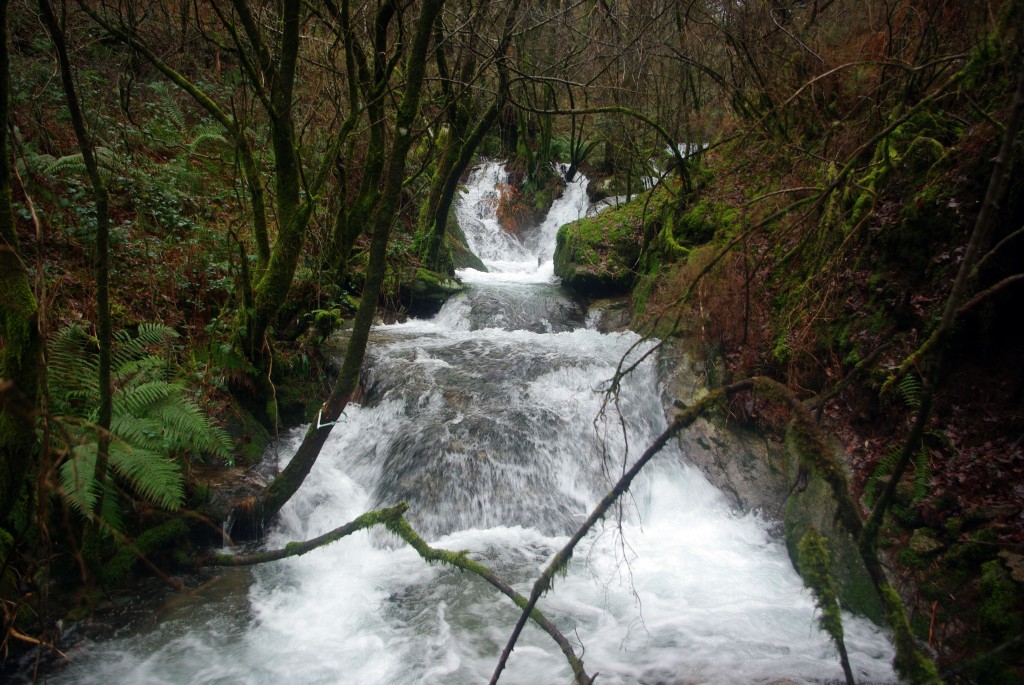 Foto: Serra do Suido - Covelo (Pontevedra), España
