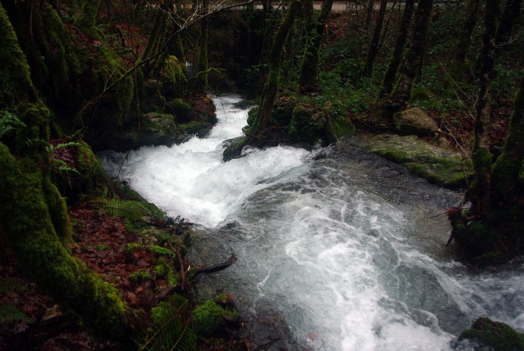 Foto: Serra do Suido - Covelo (Pontevedra), España
