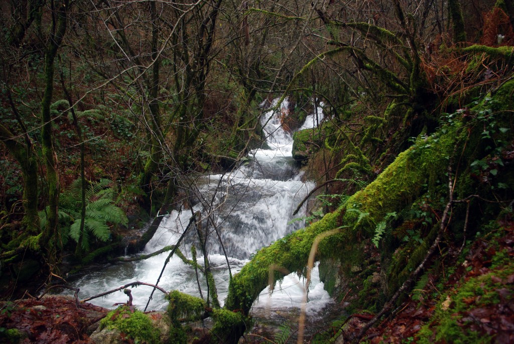Foto: Serra do Suido - Covelo (Pontevedra), España