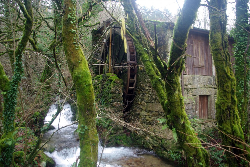 Foto: Serra do Suido - Covelo (Pontevedra), España